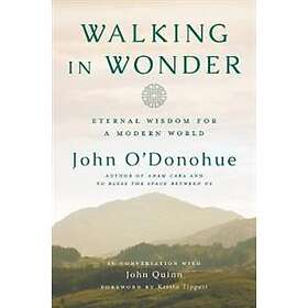 Walking in Wonder
