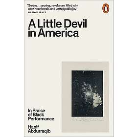A Little Devil in America