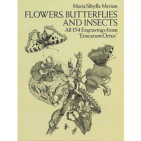 Flowers, Butterflies and Insects
