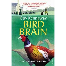 Bird Brain
