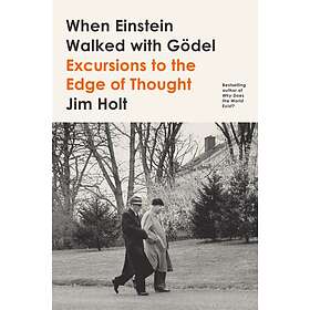 When Einstein Walked With Godel