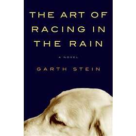 The Art of Racing in the Rain