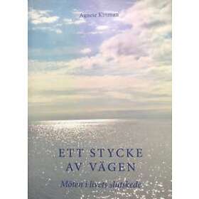 Ett Stycke Av Vägen Möten I Livets Slutskede