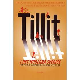 Tillit I Det Moderna Sverige Den Dumme Svensken Och Andra Mysterier