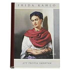 Att Trotsa Smärtan Brev I Urval Av Martha Zamora