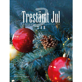 Trestämt Jul Kör Sab