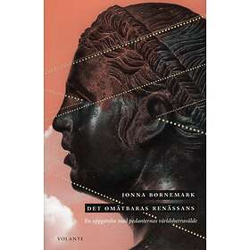 Det Omätbaras Renässans En Uppgörelse Med Pedanternas Världsherraväl