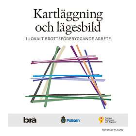Kartläggning Och Lägesbild I Lokalt Brottsförebyggande Arbete