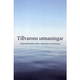 Tillvarons Utmaningar Religionsfilosofiska Studier I Erfarenhet, Tro