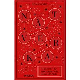 Nätverka Så Blir Du Den Som Andra Vill Omge Sig Med