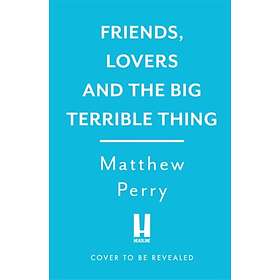 friends lovers and the big terrible thing reviews