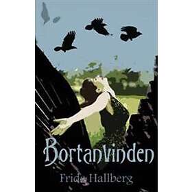 Bortanvinden
