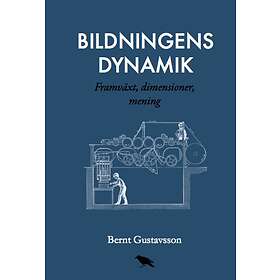 Bildningens Dynamik Framväxt, Dimensioner, Mening