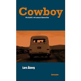 Cowboy På Drift I Ett Annat Amerika