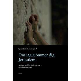 Om Jag Glömmer Dig, Jerusalem Möten Mellan Judendom