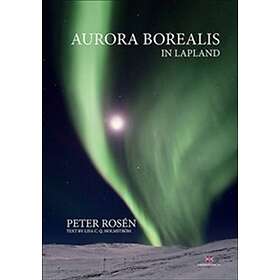 Aurora Borealis In Lapland
