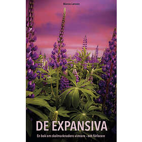 De Expansiva En Bok Om Skolmarknadens Vinnare Och Förlorare