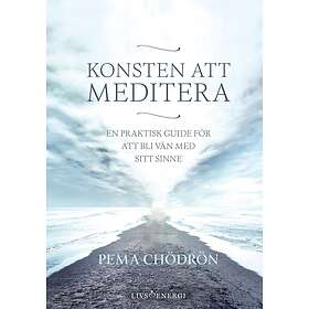 Konsten Att Meditera En Praktisk Guide För Bli Vän Med Sitt Sinne