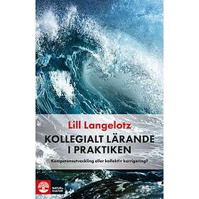 Kollegialt Lärande I Praktiken Kompetensutveckling Eller Kollektiv K