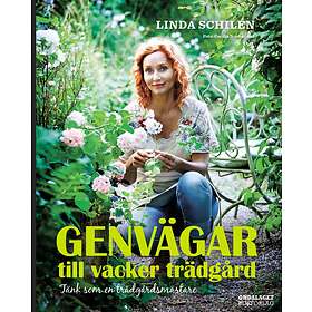 Genvägar Till Vacker Trädgård Tänk Som En Trädgårdsmästare