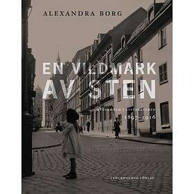 En Vildmark Av Sten Stockholm I Litteraturen 1897-1916