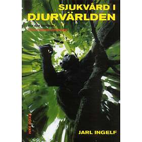 Sjukvård I Djurvärlden Hur Djur Hanterar Livets Svåraste Utmaningar