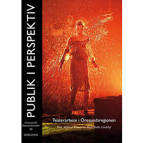 Publik I Perspektiv Teaterarbete Öresundsregionen