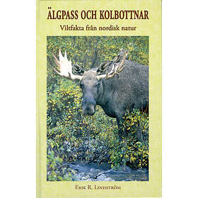 Älgpass Och Kolbottnar Viltfakta Från Nordisk Natur