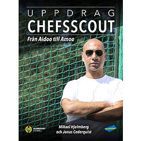 Uppdrag Chefsscout Från Aidoo Till Amoo
