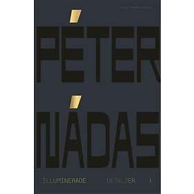 Illuminerade Detaljer 1 Minnesblad Ur Ett Författarliv