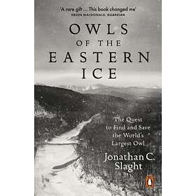 Owls Of The Eastern Ice