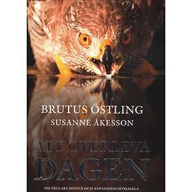 Att Överleva Dagen