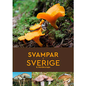 Svampar I Sverige & Nordeuropa