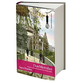 Den Blå Tvålen Romanen Och Konsten Att Göra Saker Ting Synliga