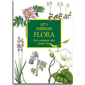 Ut I Sveriges Flora- Våra Vanligaste Vilda Växter Färg - Hitta Bästa ...