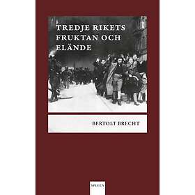 Tredje Rikets Fruktan Och Elände