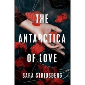 Antarctica Of Love