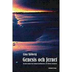 Genesis Och Jernet Ett Möte Mellan Sara Lidmans Jernbaneepos Bibelns