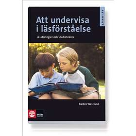 Att Undervisa I Läsförståelse, Andra Upplagan