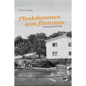 Plaskdammen Som Försvann Folkhemsminnen