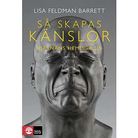 Så Skapas Känslor Hjärnans Hemliga Liv