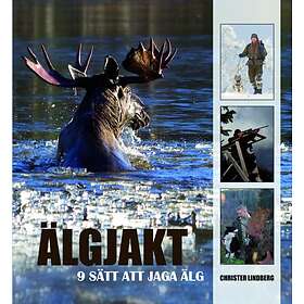 Älgjakt 9 Sätt Att Jaga Älg