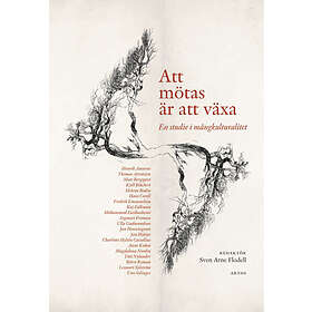 Att Mötas Är Växa En Studie I Mångkulturalitet