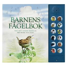 Barnens Fågelbok Våra Mest Älskade Småfåglar Med Bilder Och Läten