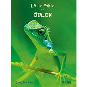 Lätta Fakta Om Ödlor