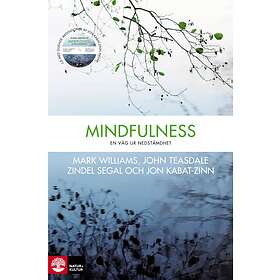 Mindfulness En Väg Ur Nedstämdhet