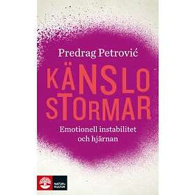 Känslostormar Emotionell Instabilitet Och Hjärnan