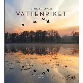 Vingar Över Vattenriket