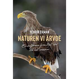 Naturen Vi Ärvde En Miljöresa Från Tyst Vår Till Het Sommar