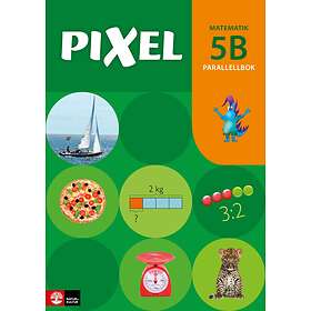 Pixel 5b Parallellbok, Andra Upplagan